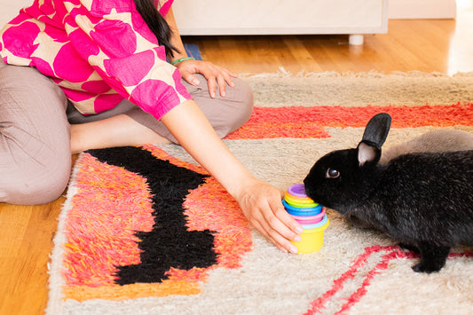 Giving Back to Bunny Rescues 💛