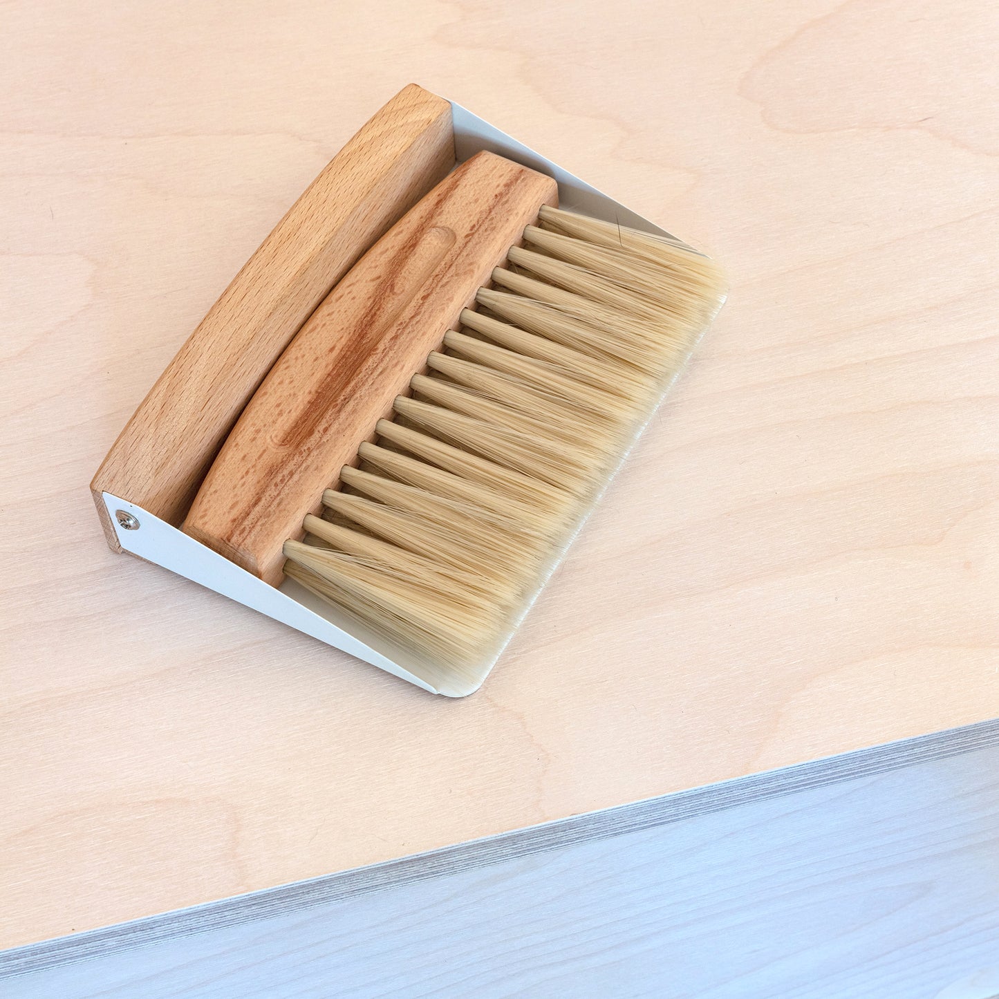 Mini Dustpan & Brush Set
