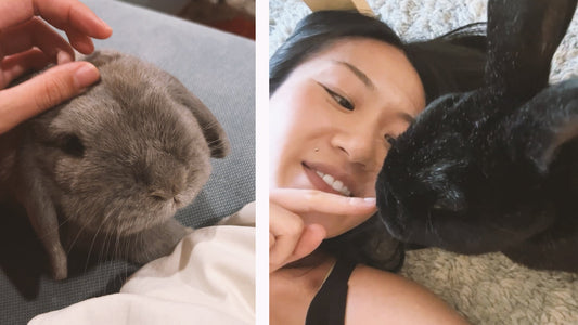 How I Went From Adoption Regret to Bunny Bliss 🐰💕