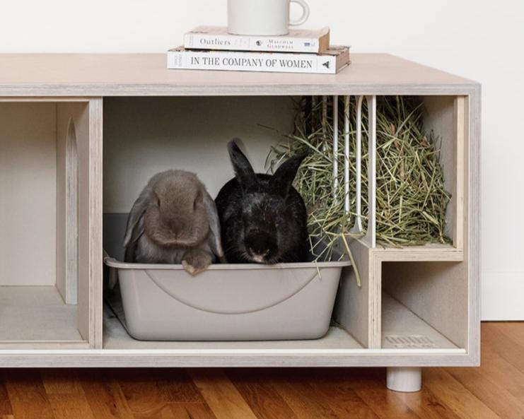 The Bench – BINK Rabbit Goods