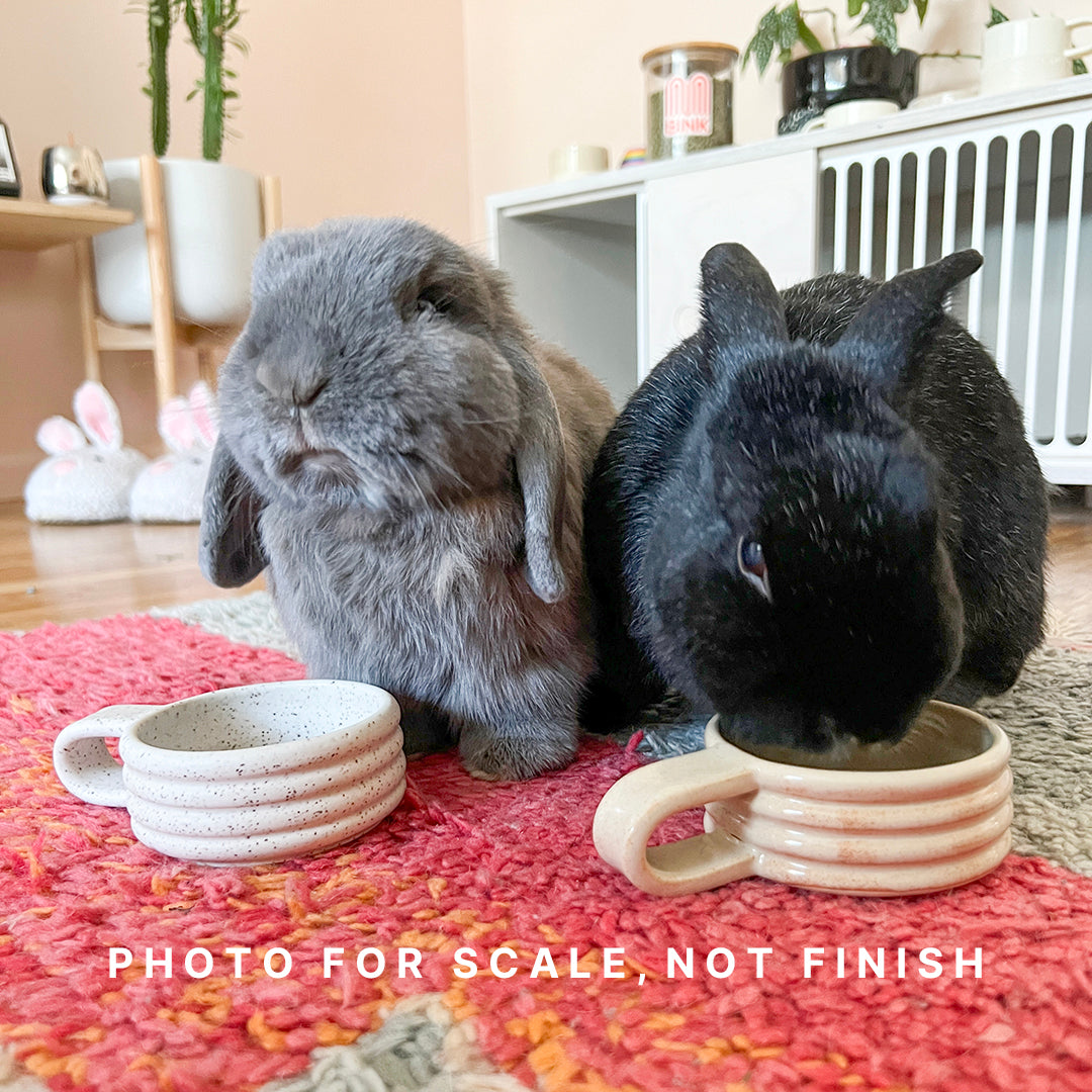 Bunny & Me Stoneware Set