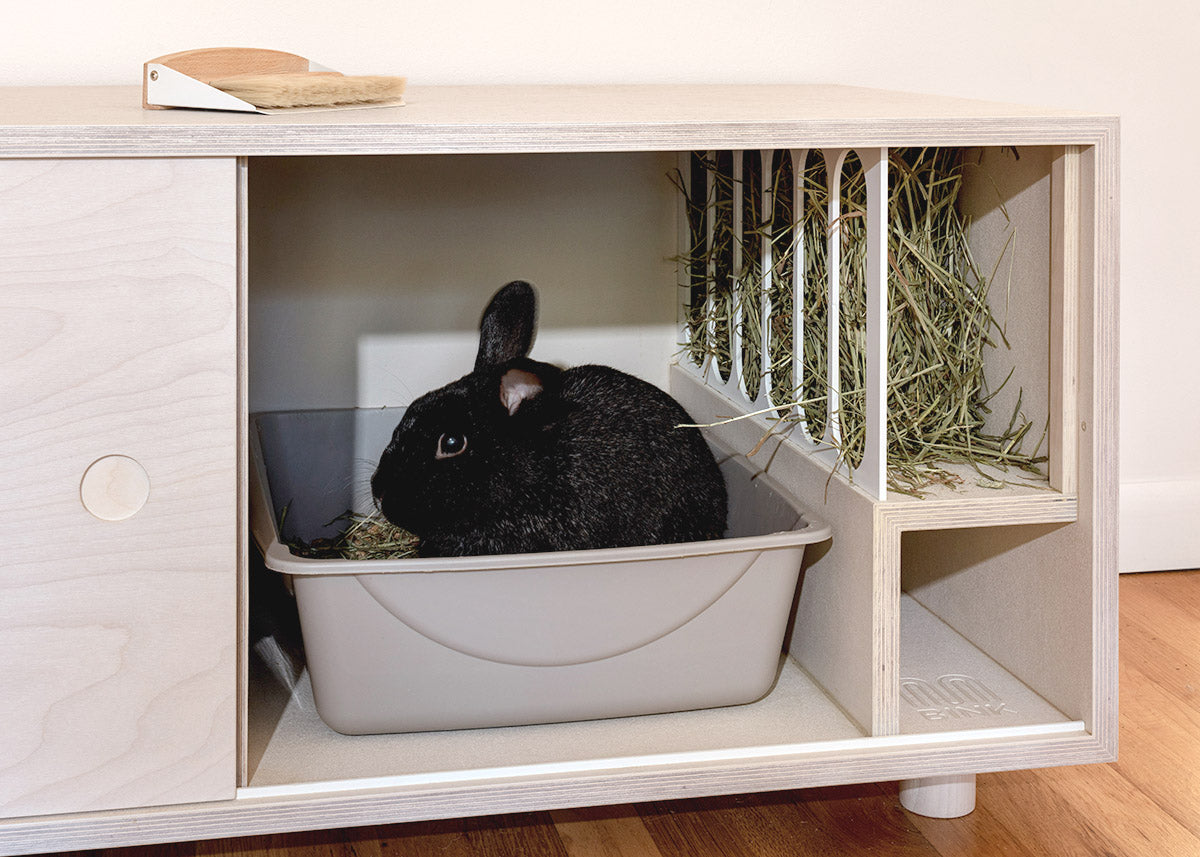 Chew proof rabbit litter cheap box